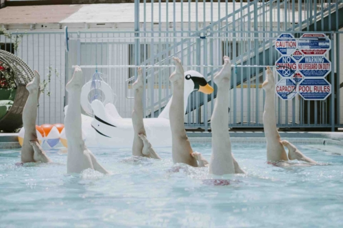 sexy-legs-corporate-events-synchronized-swimming